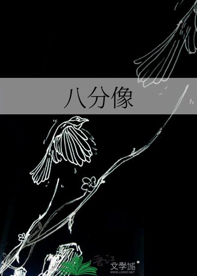 小说《八分像》封面