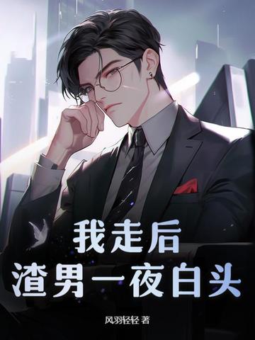 小说《我走后，渣男一夜白头》封面