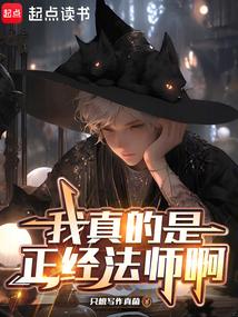 小说《我真的是正经法师啊》封面