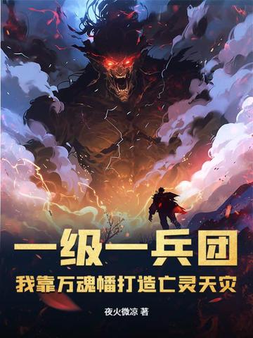 小说《一级一兵团，我靠万魂幡打造亡灵天灾》封面