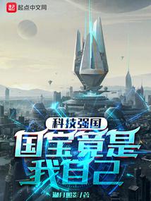 小说《国宝竟是我自己》封面