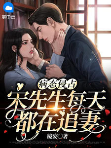 小说《病态侵占：宋先生每天都在追妻》封面