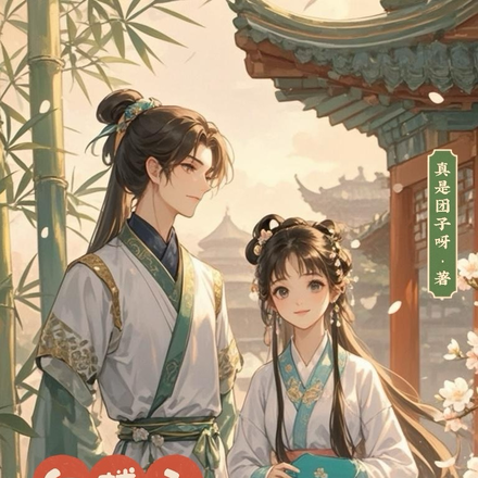 小说《红楼之天上掉下个林哥哥》封面