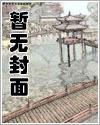 小说《废土玫瑰（H/NP）》封面