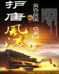 小说《武唐风流》封面