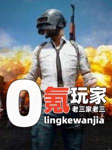 小说《这游戏，我能玩一辈子》封面