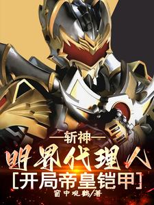 小说《斩神：生而为帝，我即是天意！》封面