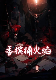 小说《香槟桶火焰(1v1 强取豪夺 出轨)》封面