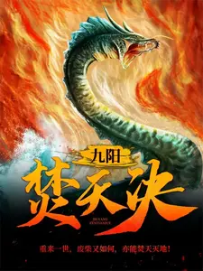 小说《九阳焚天决》封面