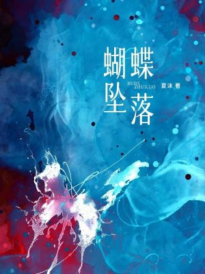 小说《蝴蝶坠落》封面