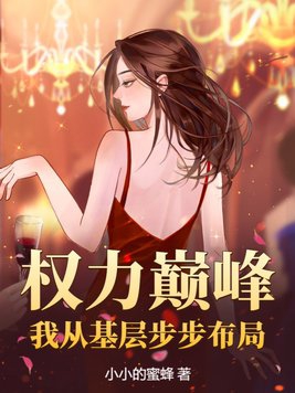小说《权力巅峰：我从基层步步布局》封面