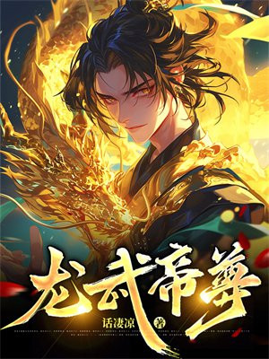 小说《龙武帝尊》封面