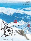 小说《我见南山》封面