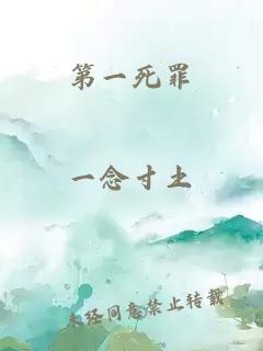 小说《第一死罪》封面