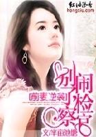 小说《前妻逆袭》封面
