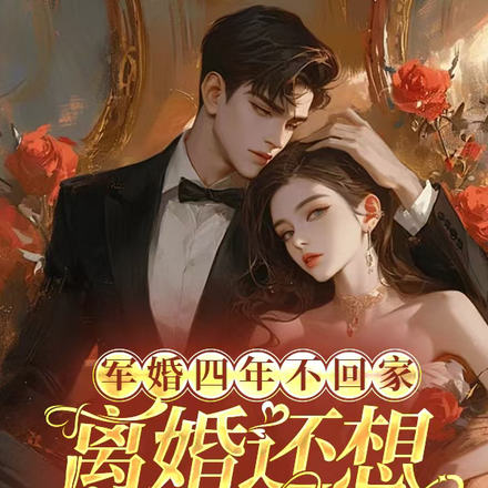 小说《军婚四年不回家，离婚还想不离床》封面