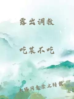 小说《露出调教》封面