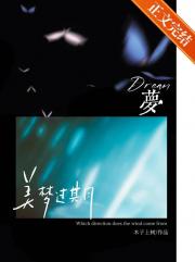 小说《美梦过期》封面