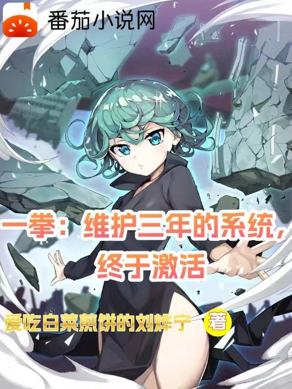 小说《一拳：维护三年的系统，终于激活》封面