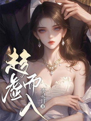 小说《趁虚而入》封面
