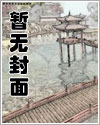 小说《今天开始当圣斗士》封面
