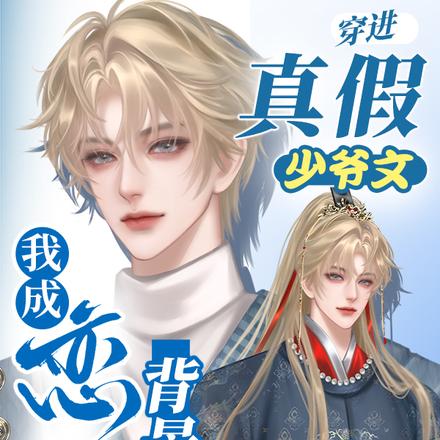 小说《穿进真假少爷文，我成恋综背景板》封面
