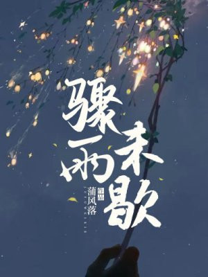 小说《骤雨未歇》封面