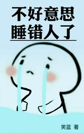 小说《不好意思，睡错人了》封面