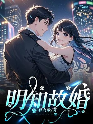 小说《明知故婚》封面