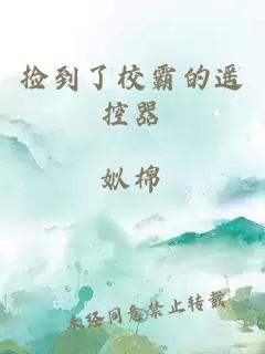 小说《捡到了校霸的遥控器》封面