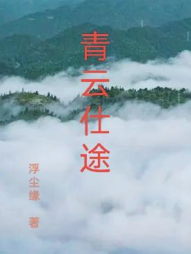 小说《青云仕途》封面