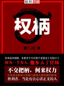 小说《权柄》封面