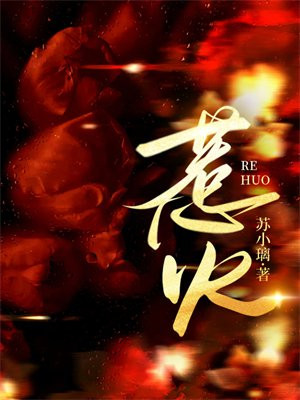 小说《惹火》封面