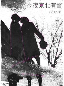 小说《今夜京北有雪》封面