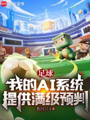小说《足球闲置唐龙》封面