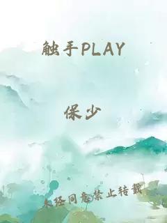 小说《触手PLAY》封面