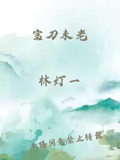 小说《宝刀未老》封面
