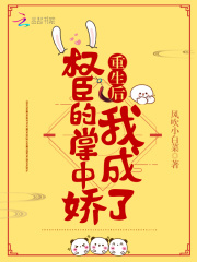 小说《重生后我成了权臣的掌中娇（重生后我成了权臣的掌中娇南宝衣萧弈）》封面