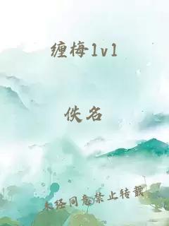 小说《缠梅1v1》封面