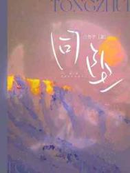 小说《同坠》封面